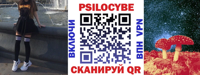 Купить  Сурск  Псилоцибиновые грибы MAGIC MUSHROOMS 